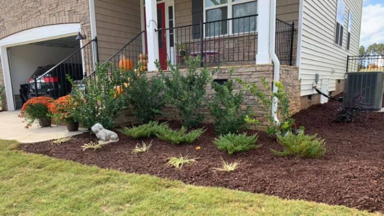 Popular Softscape Landscaping Ideas