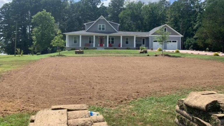 Should You Install Your New Lawn Using Seed Or Sod?