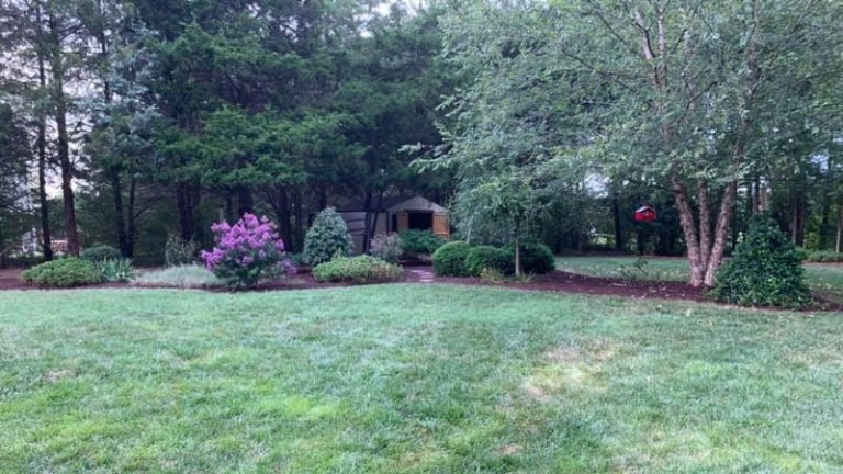 Drought Tolerant Landscaping Or Xeriscaping
