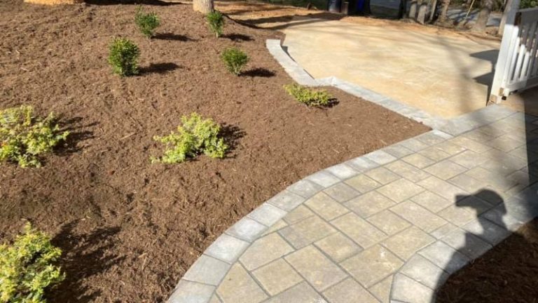 Hardscaping vs. Softscaping: What You Should Know