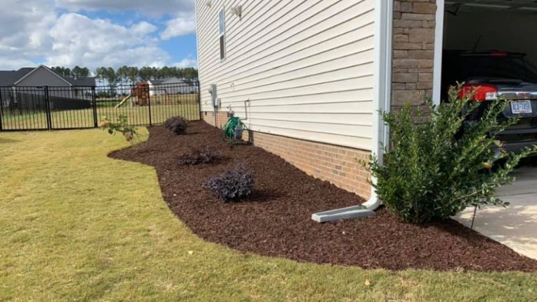 Plant Hardiness Zones & How to Choose The Best Plants for Your Zone